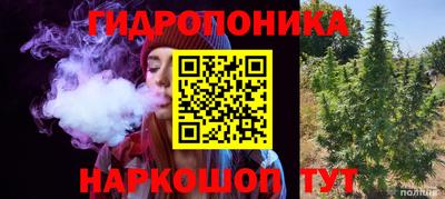 Альфа ПВП Лесосибирск