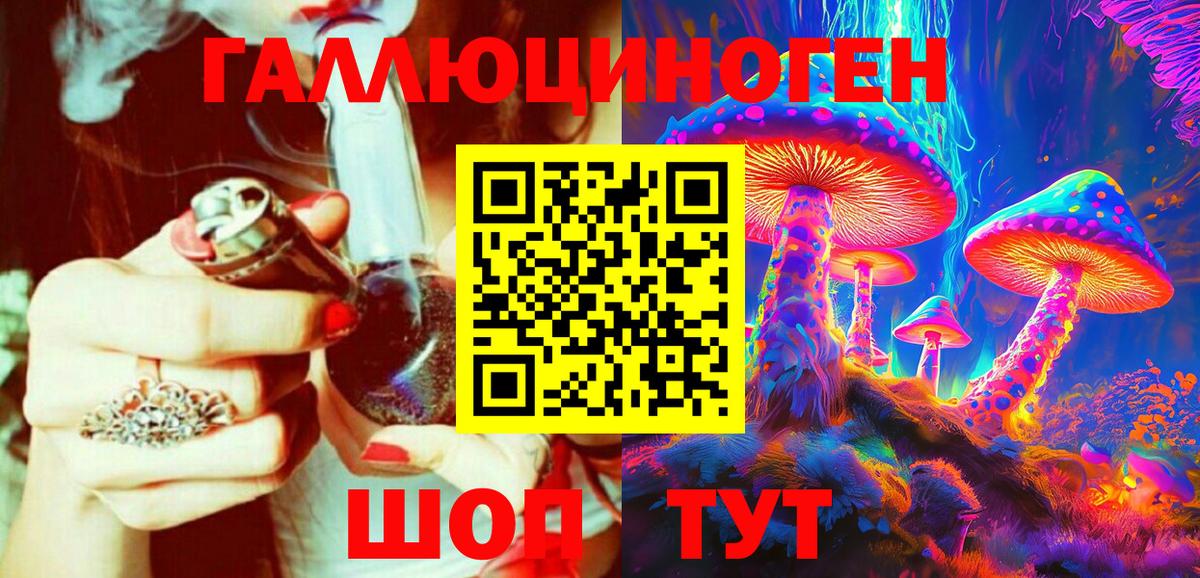 Псилоцибиновые грибы Psilocybe Добрянка
