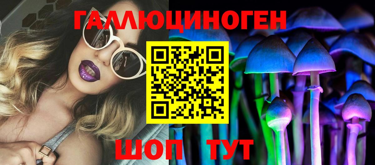 Добрянка  Псилоцибиновые грибы Cubensis  Вход с VPN 